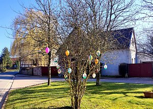 Osterspaziergang im Vorharz