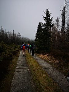 Jour Fixe im Nationalpark mit Sara Wegrzyk