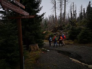 Jour Fixe im Nationalpark mit Sara Wegrzyk