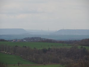 Fr&uuml;hlingsspuren auf dem Weg zur Ebersburg