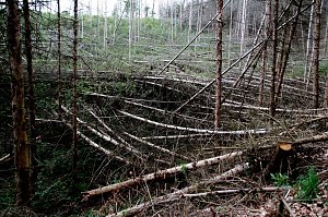 Peter Blei unterwegs in der Natur