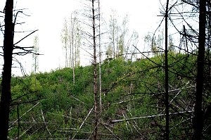 Peter Blei unterwegs in der Natur