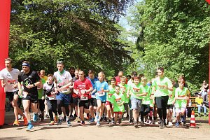 6. Heinrich-Siesmayer Ged&auml;chtnislauf im Park Hohenrode