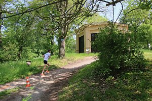 6. Heinrich-Siesmayer Ged&auml;chtnislauf im Park Hohenrode