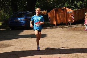 6. Heinrich-Siesmayer Ged&auml;chtnislauf im Park Hohenrode