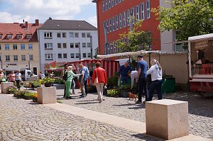 Geranienmarkt auf dem Rathausplatz