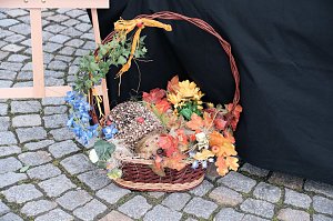 Geranienmarkt am Rathaus