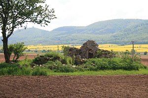 Die W&uuml;stung Lindenschu