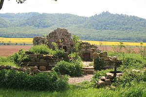 Die W&uuml;stung Lindenschu