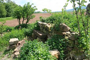 Die W&uuml;stung Lindenschu