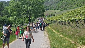 Unterwegs auf der Saale-Weinmeile
