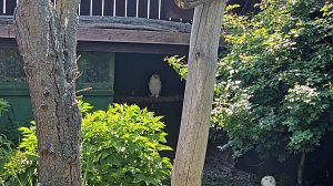 Offener Garten in Uthleben
