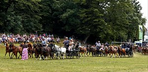 Ponyshow in W&uuml;lfingerode