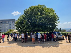 Zweiter Tag des 53. Rolandsfestes