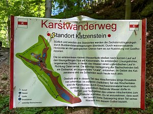 Der 400 Jahre alte "Gro&szlig;mutter"-Baum am Kohnstein gefallen