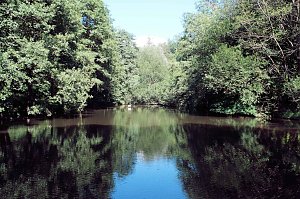 Die Wunder der Natur eingefangen von der Kamera