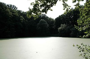 Am Wiesenteich