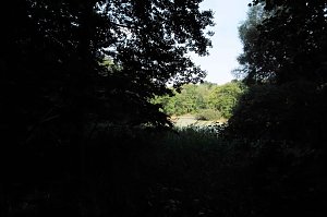 Am Wiesenteich
