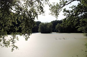 Am Wiesenteich