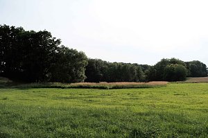 Am Wiesenteich