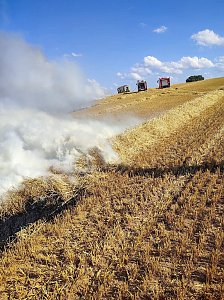 Feldbrand bei Klettenberg