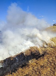 Feldbrand bei Klettenberg