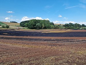 Feldbrand bei Klettenberg