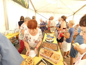 Kleing&auml;rtner feierten Sommerfest