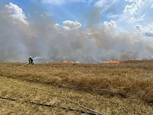 Feuer in der Goldenen Aue