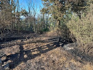 Feuer in der Goldenen Aue