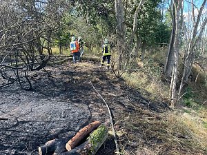 Feuer in der Goldenen Aue