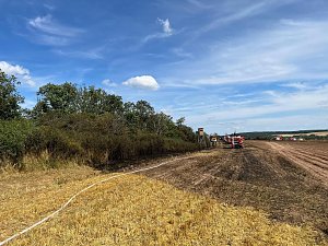 Feuer in der Goldenen Aue