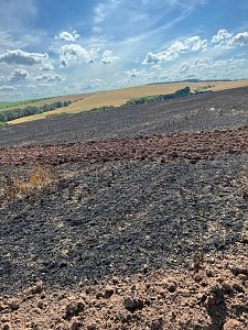 Feuer in der Goldenen Aue