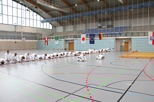 Internationales Karate-Training in der Wiedigsburg-Halle
