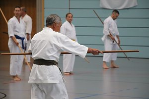 Internationales Karate-Training in der Wiedigsburg-Halle