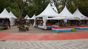 Stippvisite bei der Landesgartenschau in Bad Gandersheim