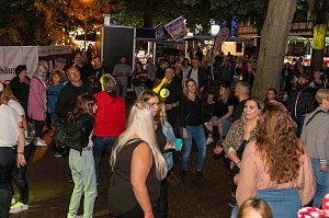 Das Altstadtfest am Samstag