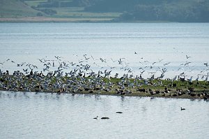 Peter Blei unterwegs im Vogelparadies