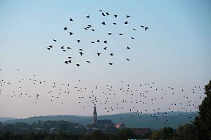 Peter Blei unterwegs im Vogelparadies