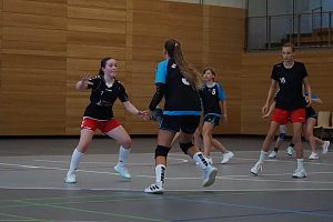Ereignisteiches Wochenende der NSV-Handballer