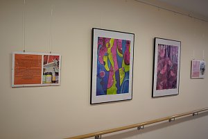 Kunstausstellung im Haus Geborgenheit