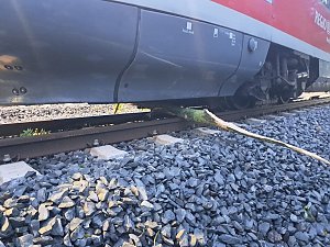Bahn kollidiert mit &Auml;sten