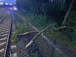 Bahn kollidiert mit &Auml;sten