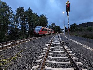 Bahn kollidiert mit &Auml;sten