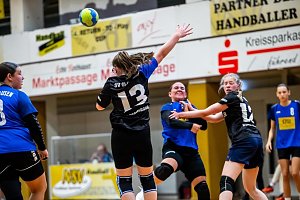 Ein fast perfektes Handballwochenende