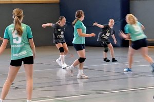 Ein fast perfektes Handballwochenende