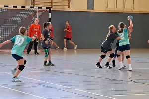 Ein fast perfektes Handballwochenende