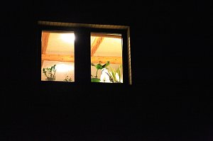 Vermutliches T&ouml;tungsverbrechen in Wipperdorf