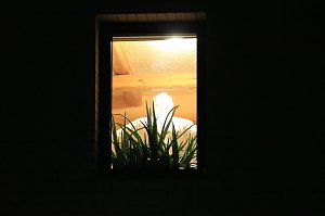 Vermutliches T&ouml;tungsverbrechen in Wipperdorf