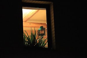 Vermutliches T&ouml;tungsverbrechen in Wipperdorf